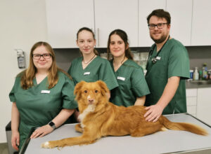 Das Team der Tierarztpraxis Bauerfeind